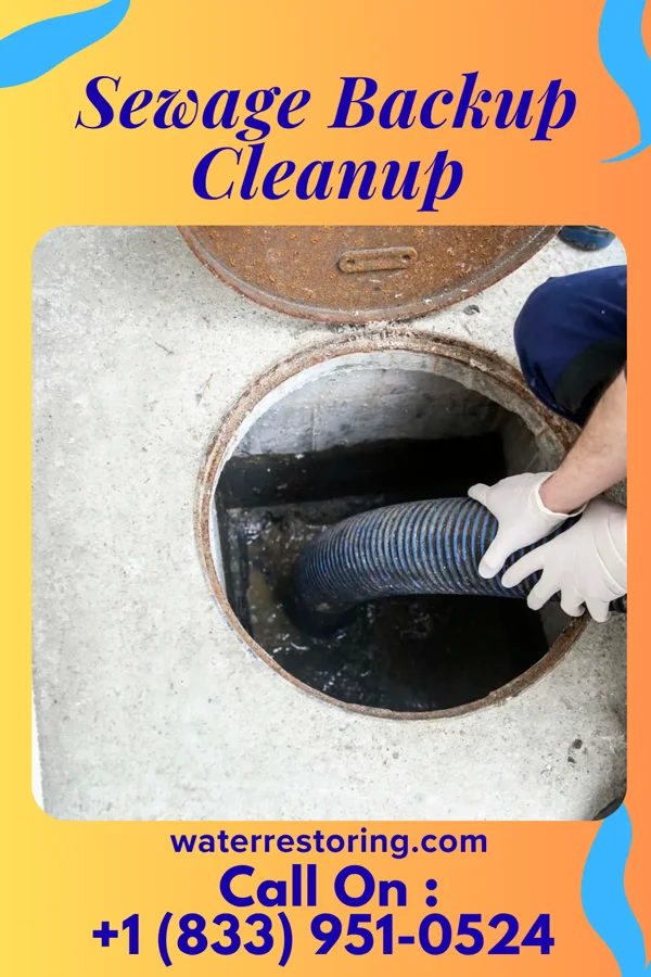 Sewage Backup Cleanup in Maroa, IL